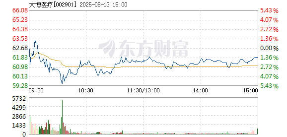 大博医疗8月13日快速反弹