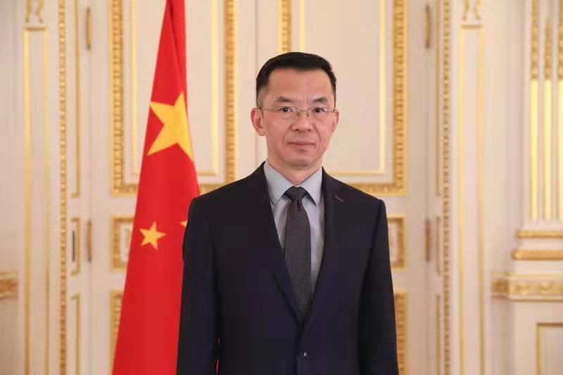 大国外交丨在关键十字路口中欧如何携手成就彼此、照亮世界？——专访中国政府欧洲事务特别代表卢沙野(图1)