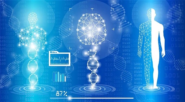 2025年哪些才是鸿蒙操作系统龙头股请收藏阅读！（529）
