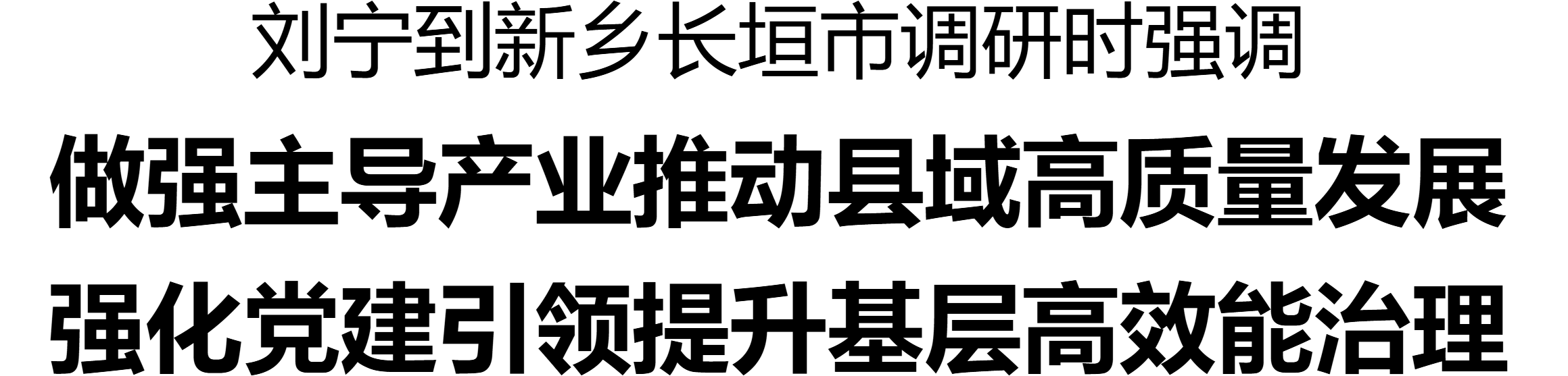 刘宁到新乡长垣市调研产业发展、基层治理等工作(图2)