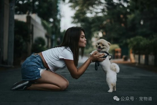 中国RFID第一股杀入宠物赛道(图3)