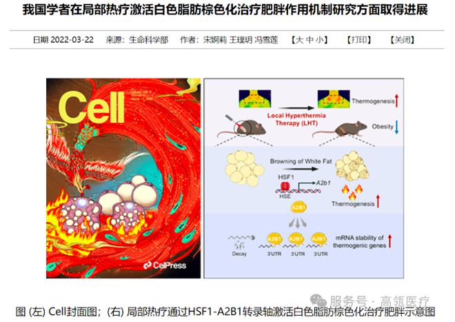 热-氧全身热疗系统GL3000-CD正式入驻北京维凯尔医疗美容医院