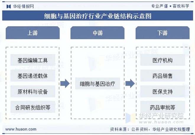 2025年全球及中国CGT（细胞与基因治疗）行业现状及发展趋势分析推动医学进入“精准修复”时代「图」(图3)