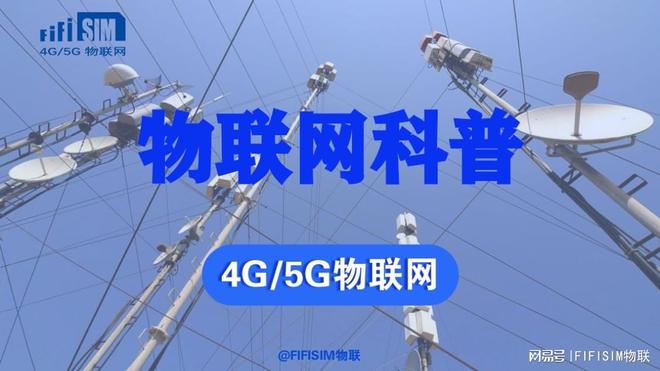 定向物联网卡怎么选？实用指南