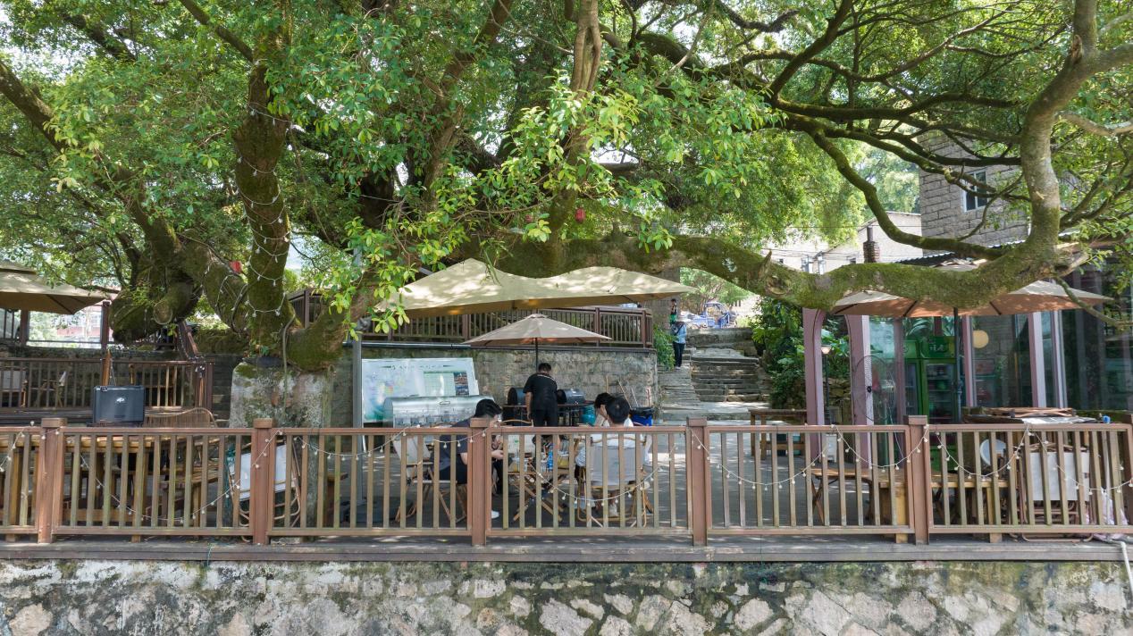 山海统筹绘新卷 城乡共荣谱华章(图3)