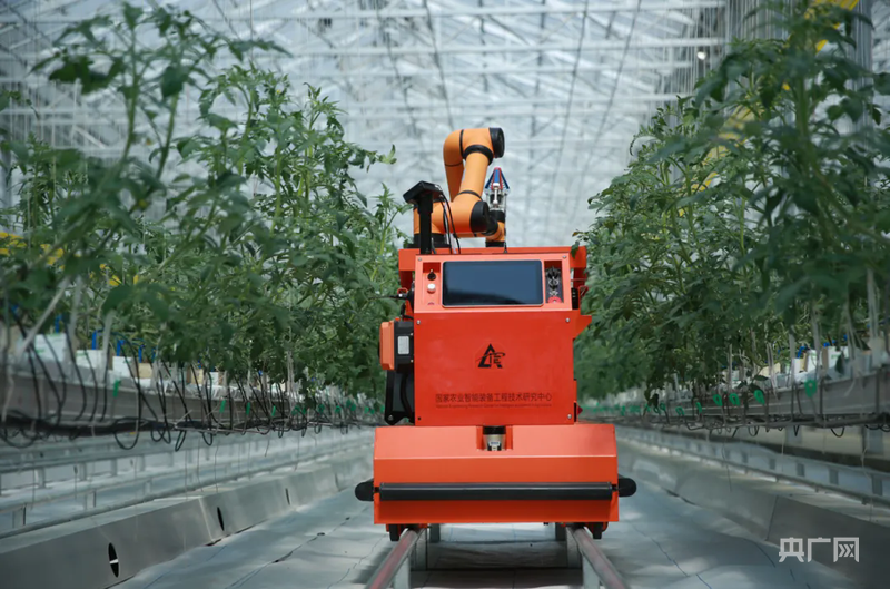 “看见更好潍坊”系列报道第一篇：龙象起舞山海间(图2)