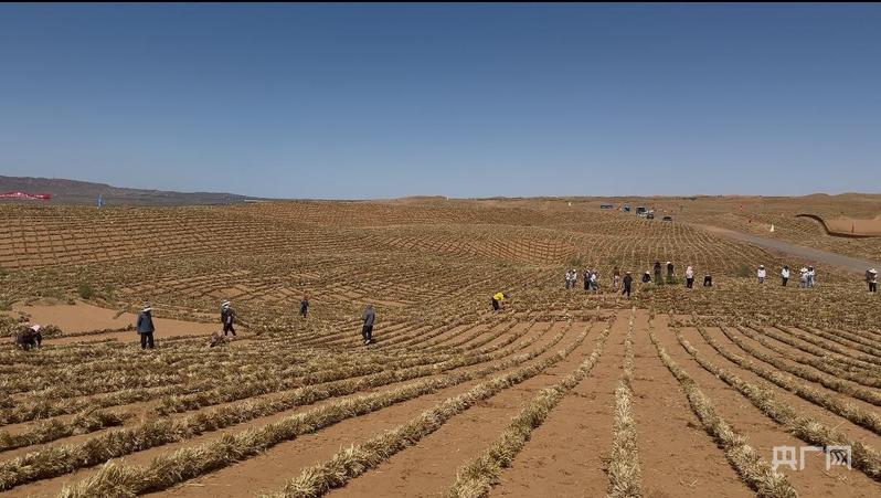 行稳致远开新局 先行区里看跃升塞上江南何以跑出全国第5增速？(图11)