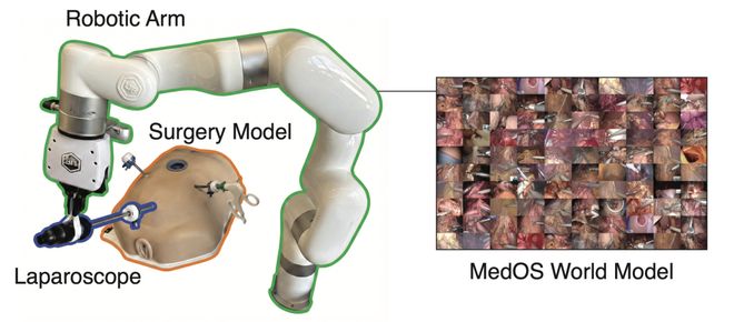 医疗AI大洗牌！斯坦福、普林斯顿发布首个医学世界模型MedOS(图4)