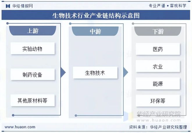 2025年中国生物技术行业市场规模、主要政策、产业链及发展趋势分析人工智能与生物技术不断融合「图」(图5)