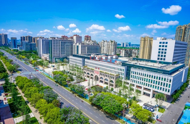 遂宁市中心医院亮相第二届中非医院发展会议(图11)